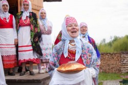 Ссыпчина медовая, программа фестиваля