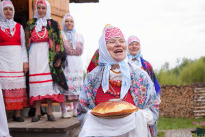Ссыпчина медовая, программа фестиваля